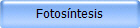 Fotosntesis